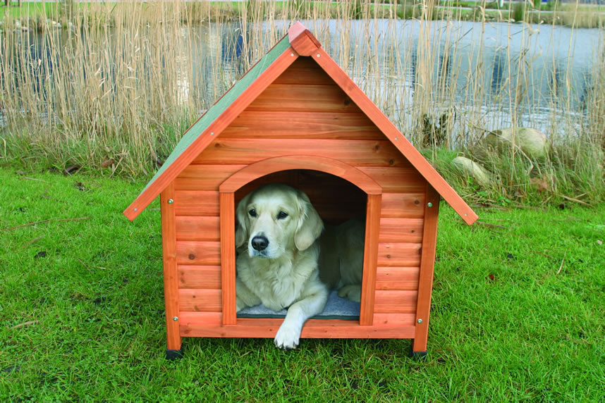 Pitched Roof Wooden Dog Kennel