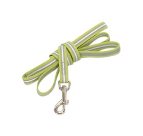 lime green reflective dog lead