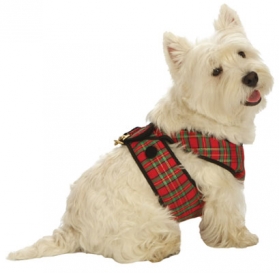 tartan dog harness